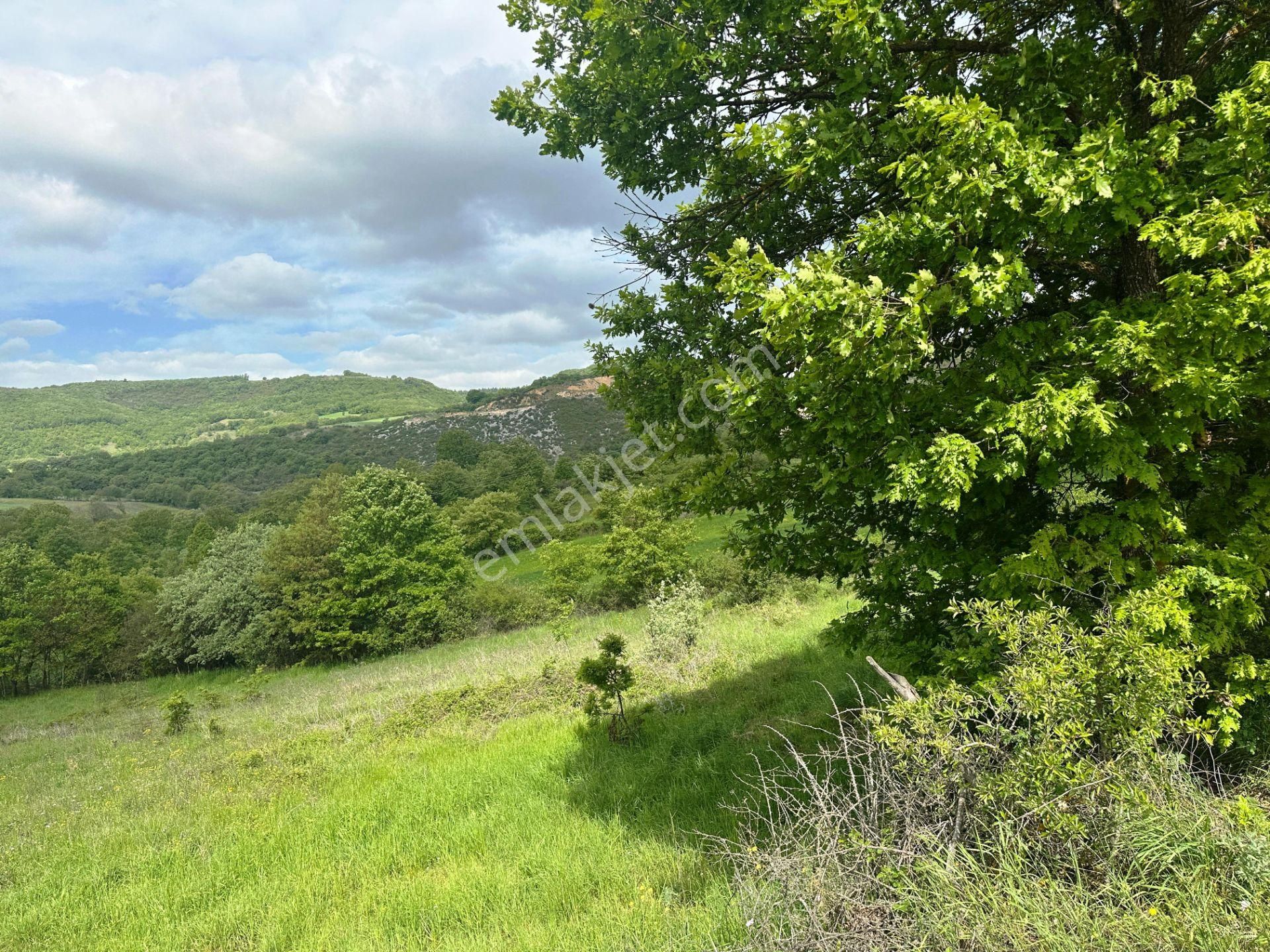 Çan Okçular'da 3.458m2 Resmi Yolu Olan Müst.parsel Satılık Arsa - Görsel 11