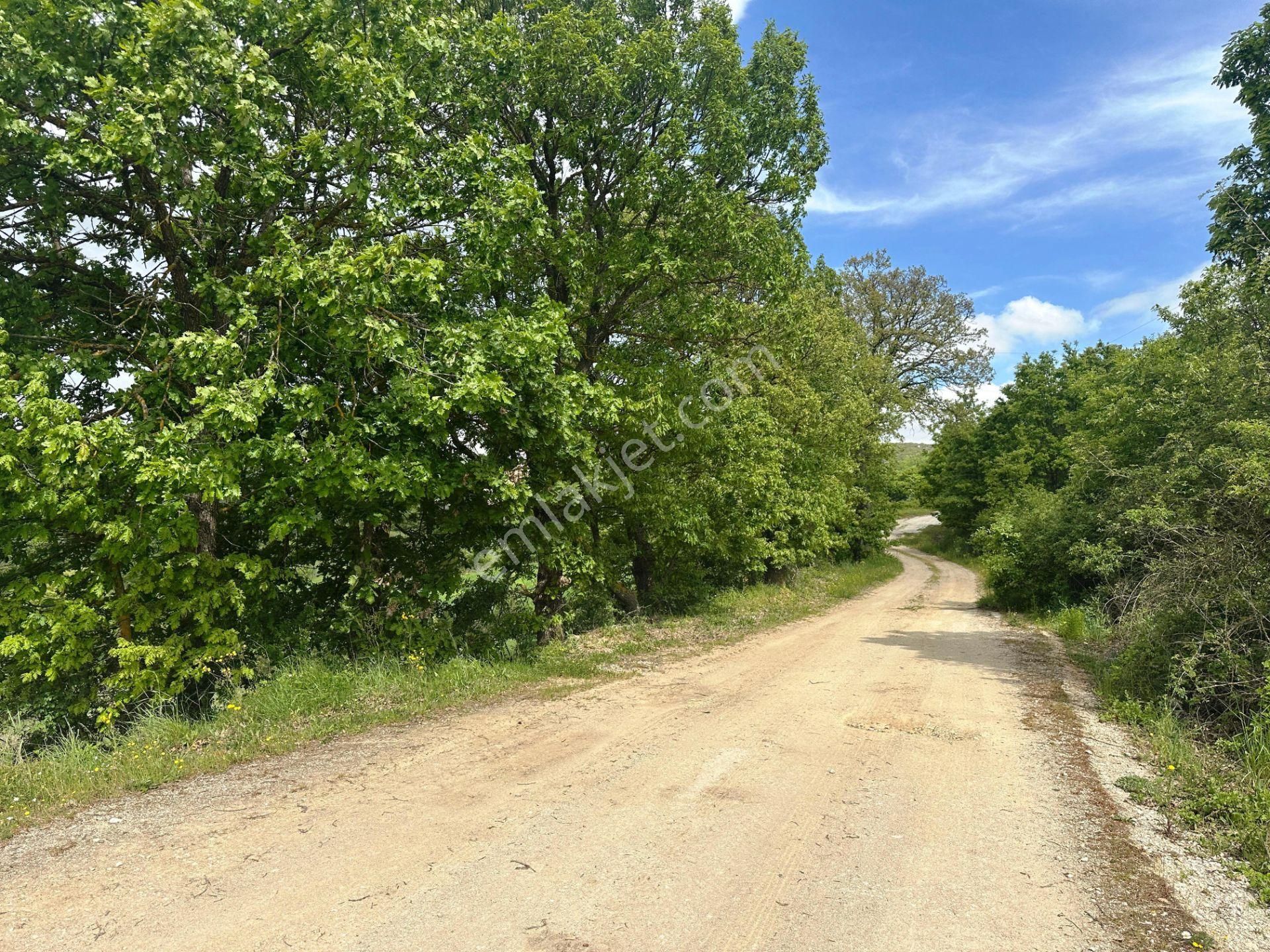 Çan Okçular'da 3.458m2 Resmi Yolu Olan Müst.parsel Satılık Arsa - Görsel 16