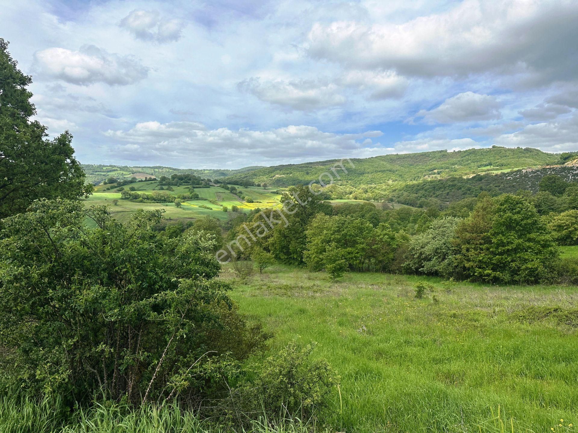 Çan Okçular'da 3.458m2 Resmi Yolu Olan Müst.parsel Satılık Arsa - Görsel 25