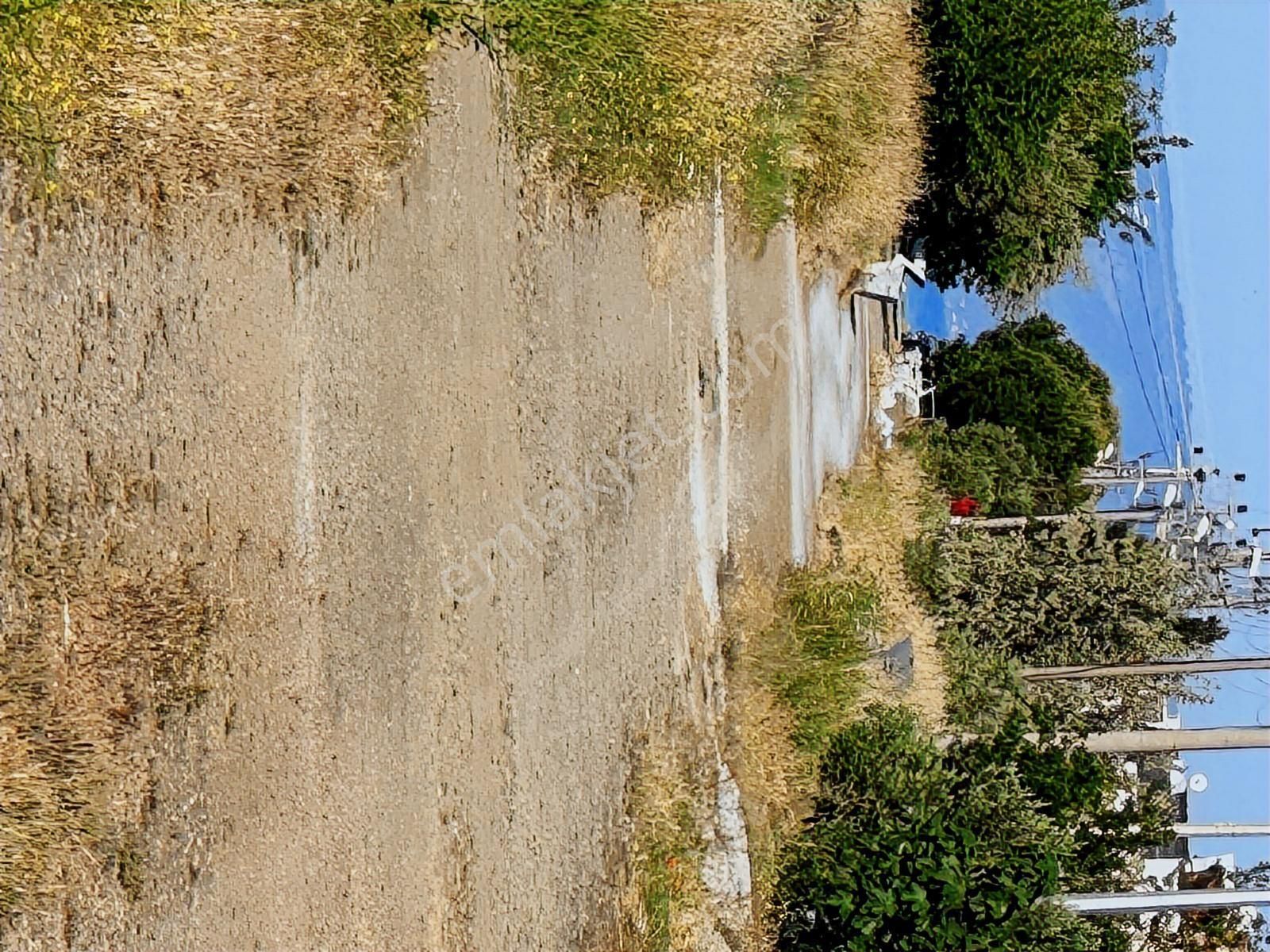 Satılık Villa Ayvalık Altınova'da Kaz Dağları'na Yakın - Görsel 28