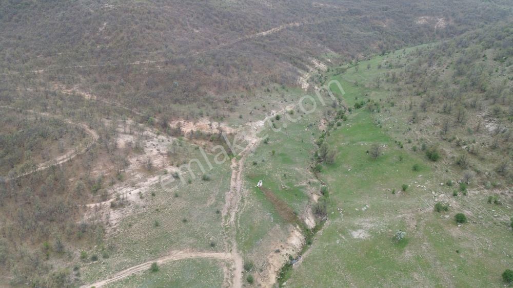 Meram Kilistra Da 389 M2 Müstakil Tapulu Tarla - Görsel 4