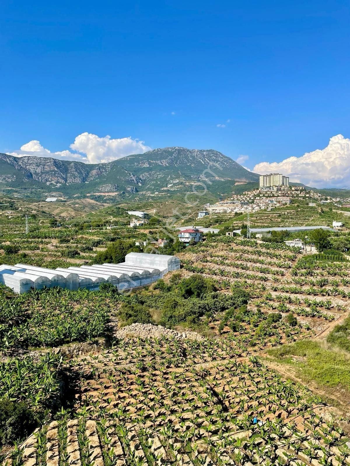 Alanya Mahmutlar’da 1+1 Full Eşyalı – Lüks Aktiviteli Daire - Görsel 2