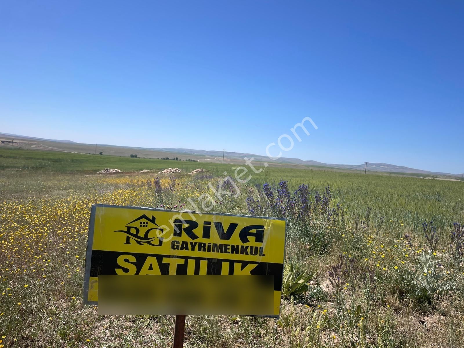 6.500 M2 Verimli Köye Ve Asfalta Çok Yakın Tarla...