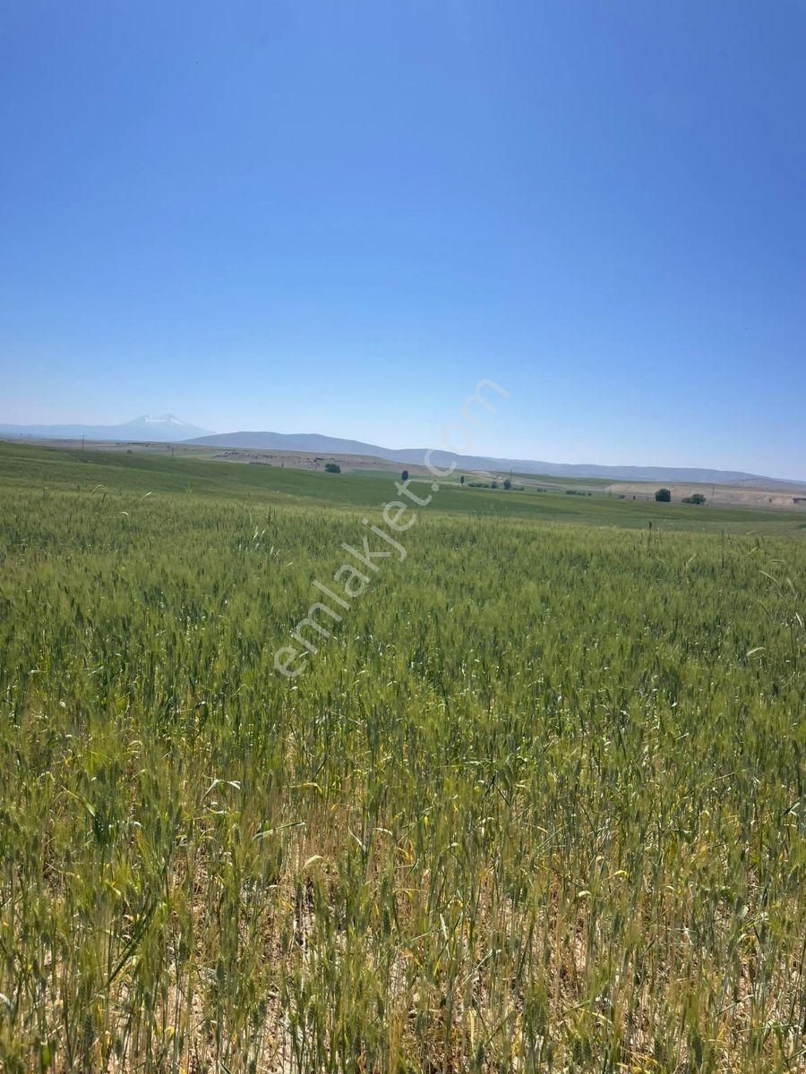 6.500 M2 Verimli Köye Ve Asfalta Çok Yakın Tarla... - Görsel 14