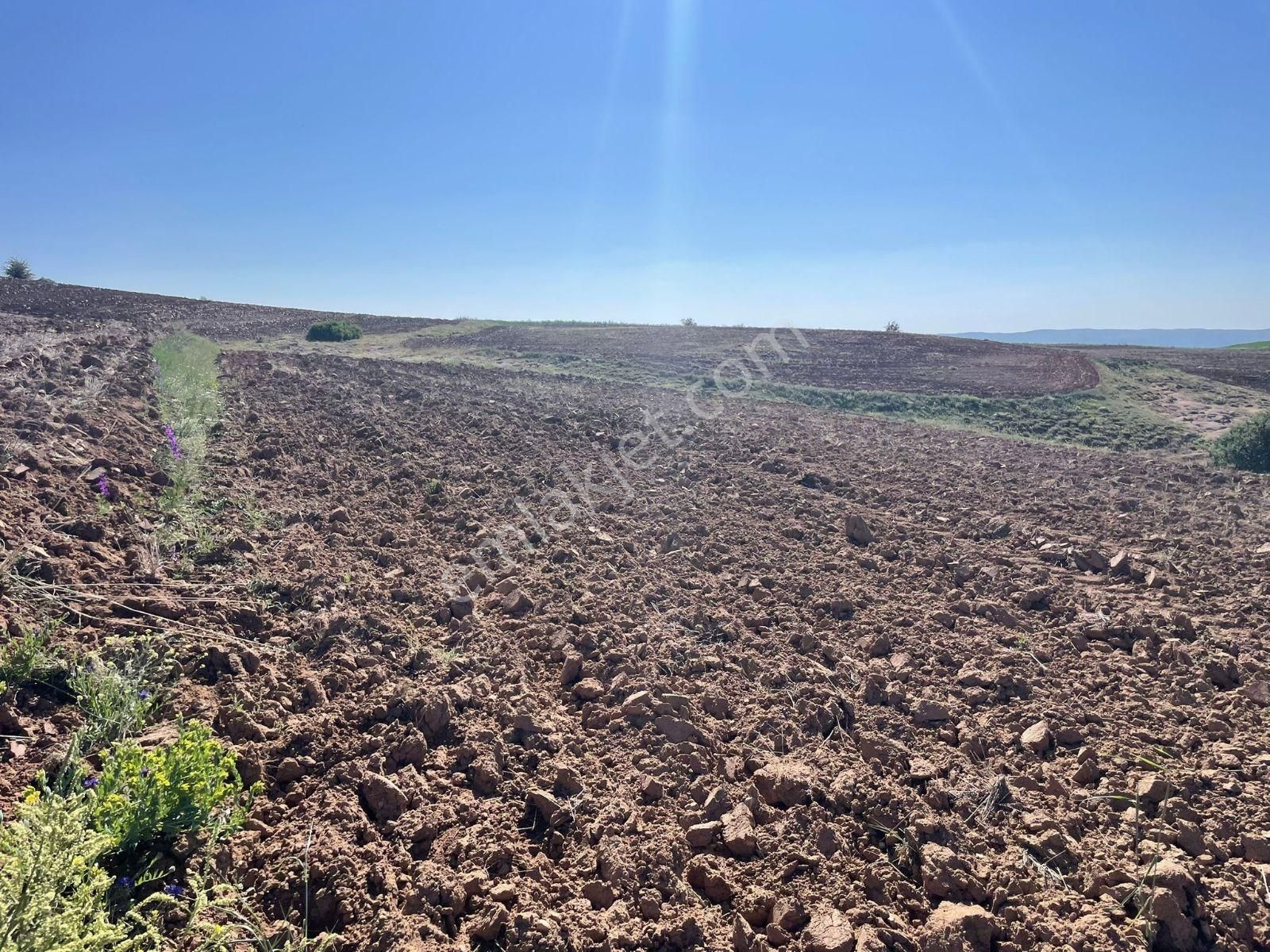 Riva Gayrimenkul'den 10 Dekar Ekilebilir Tarla Asfalt 50m - Görsel 11