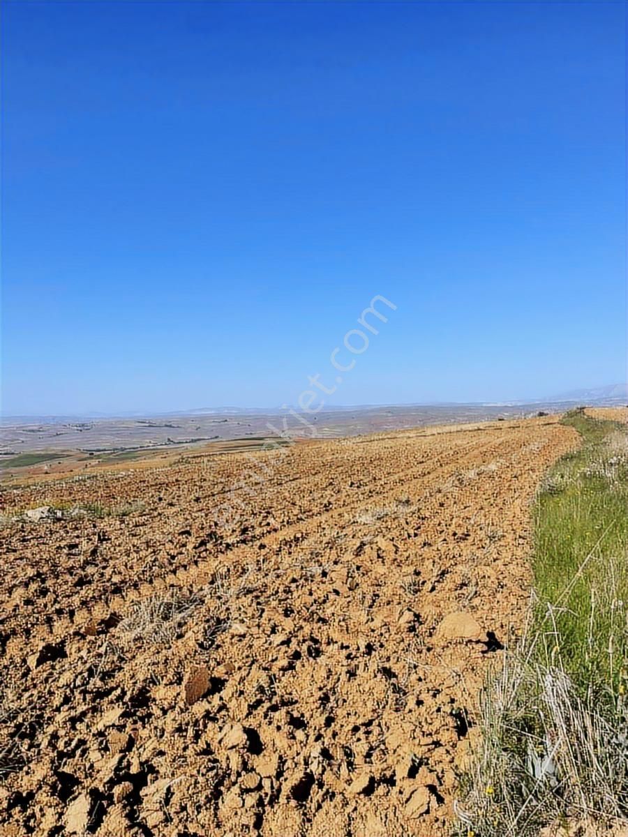 Riva Gayrimenkul'den 10 Dekar Ekilebilir Tarla Asfalt 50m - Görsel 7