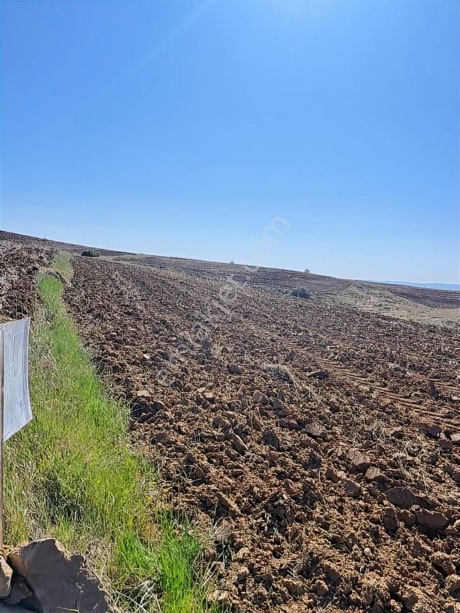 Riva Gayrimenkul'den 10 Dekar Ekilebilir Tarla Asfalt 50m - Görsel 8