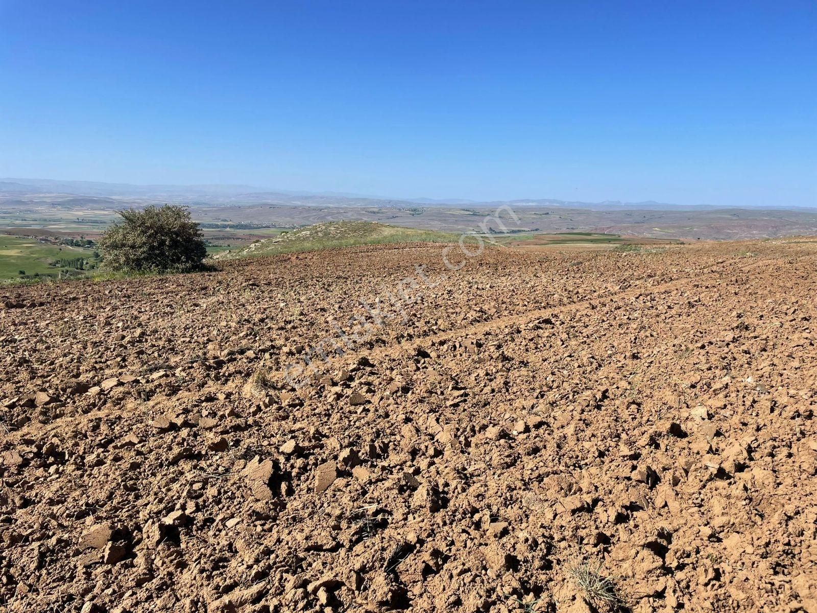 Riva Gayrimenkul'den 10 Dekar Ekilebilir Tarla Asfalt 50m - Görsel 10