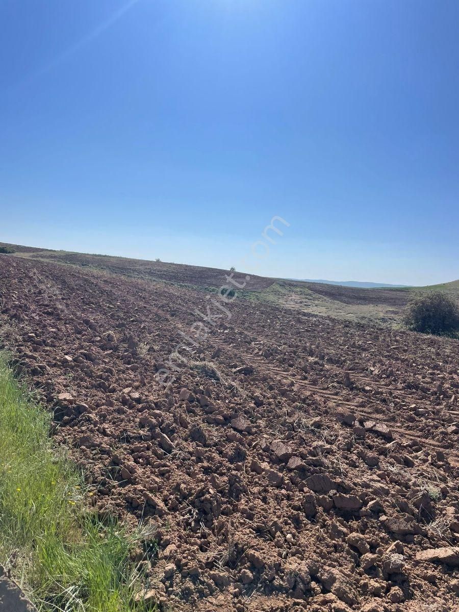 Riva Gayrimenkul'den 10 Dekar Ekilebilir Tarla Asfalt 50m - Görsel 6