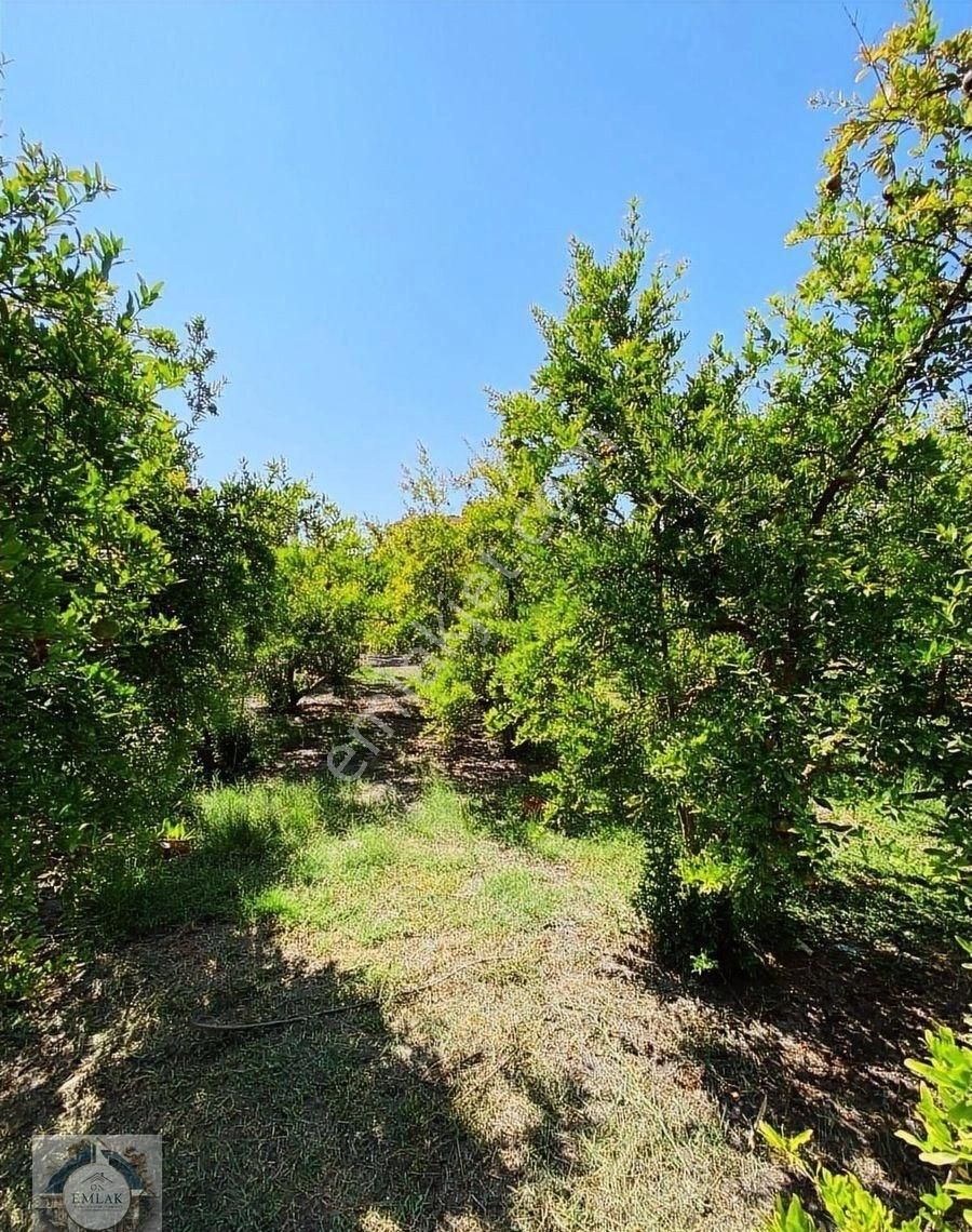 Dalaman Ege Mahallesinde İmarlı Satılık Arsa - Görsel 5