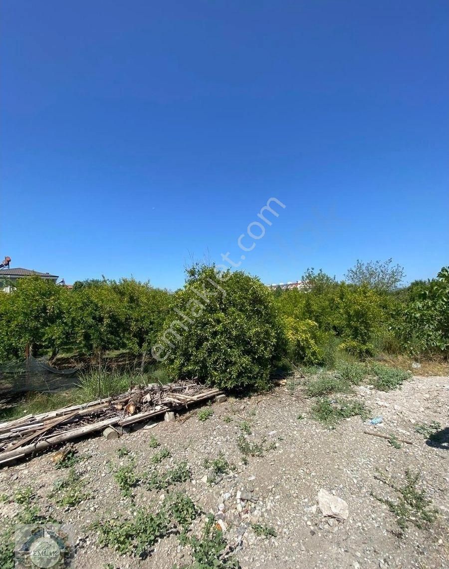 Dalaman Ege Mahallesinde İmarlı Satılık Arsa - Görsel 6