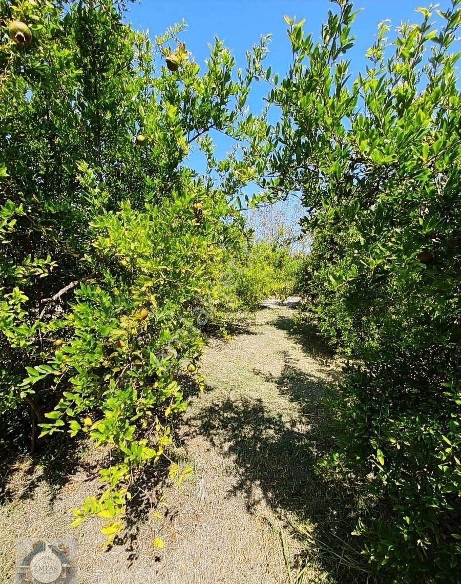 Dalaman Ege Mahallesinde İmarlı Satılık Arsa - Görsel 9
