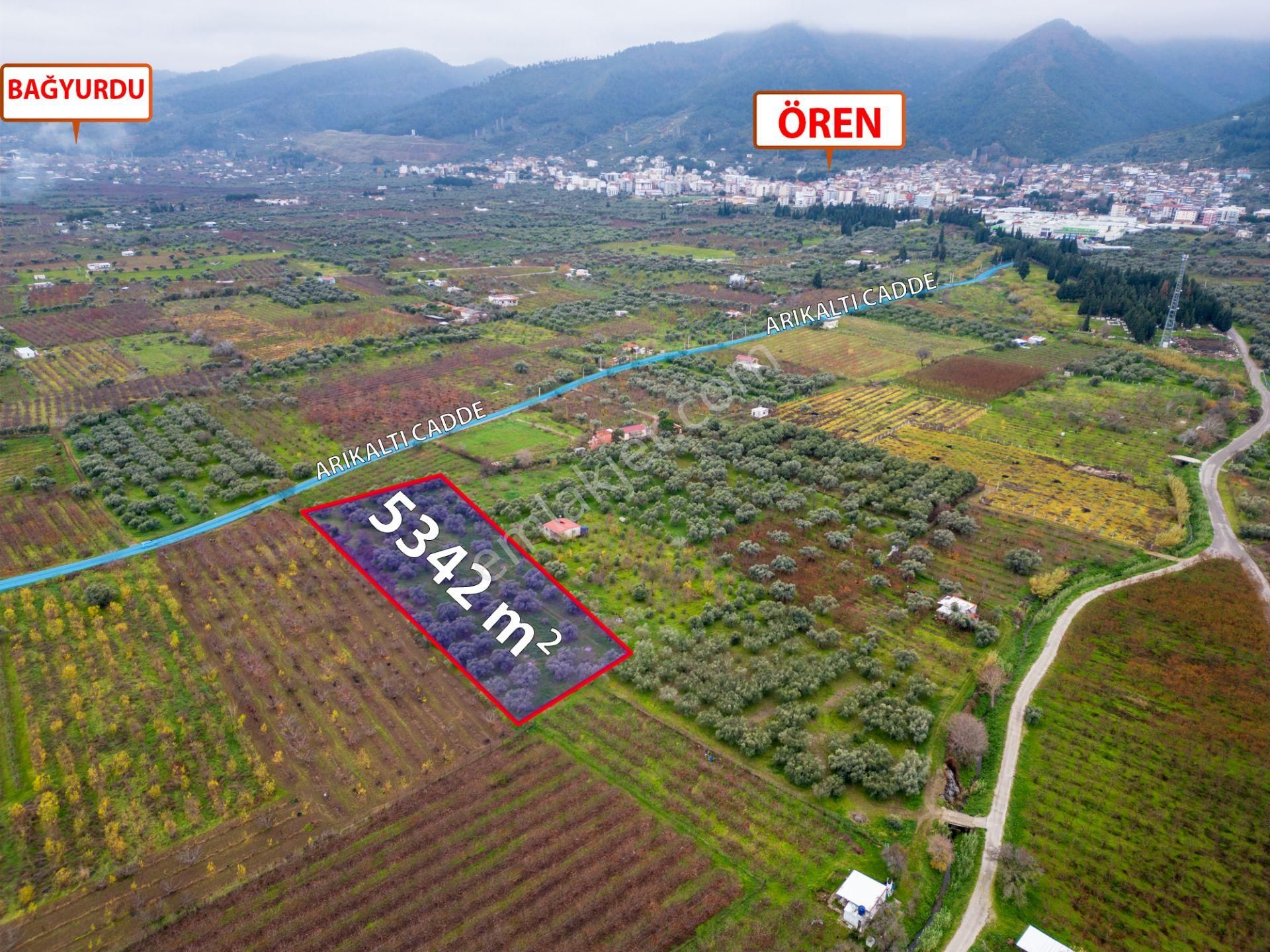 İzmir Kemalpaşa Ören’de Satılık 5.342 M² Zeytinli Bağ - Görsel 2