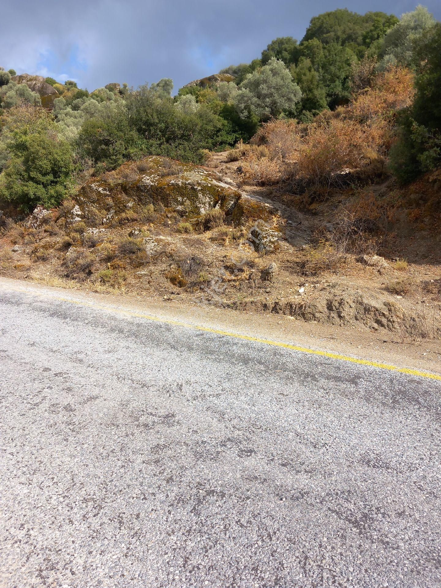 Sahibinden Anayola Sıfır 1600m2 Takas Olur - Görsel 5