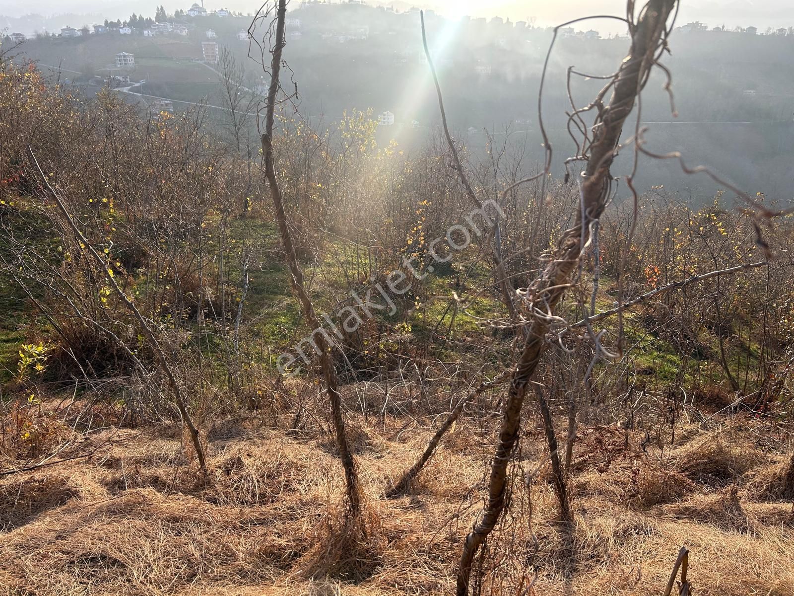 Premar White Gayrimenkul Sürmene Y.çavuşlu Mah. Satılık Arazi - Görsel 11