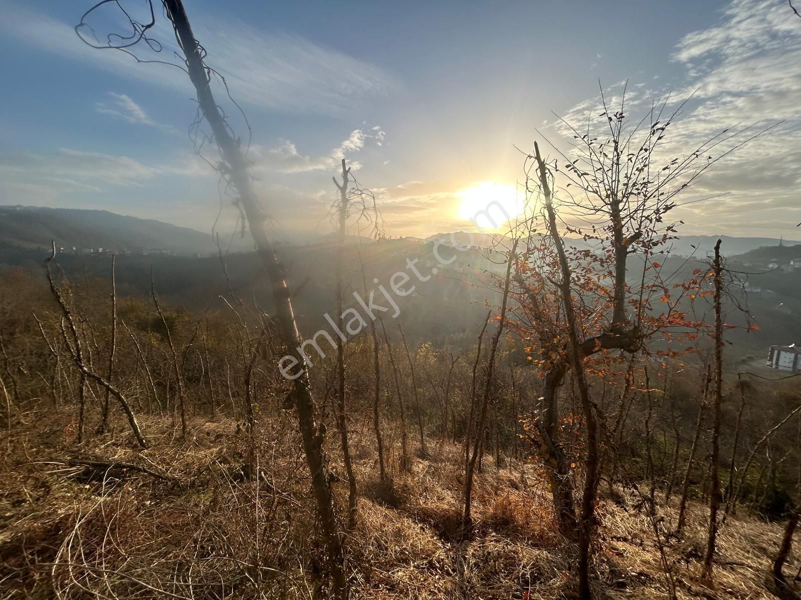 Premar White Gayrimenkul Sürmene Y.çavuşlu Mah. Satılık Arazi - Görsel 5