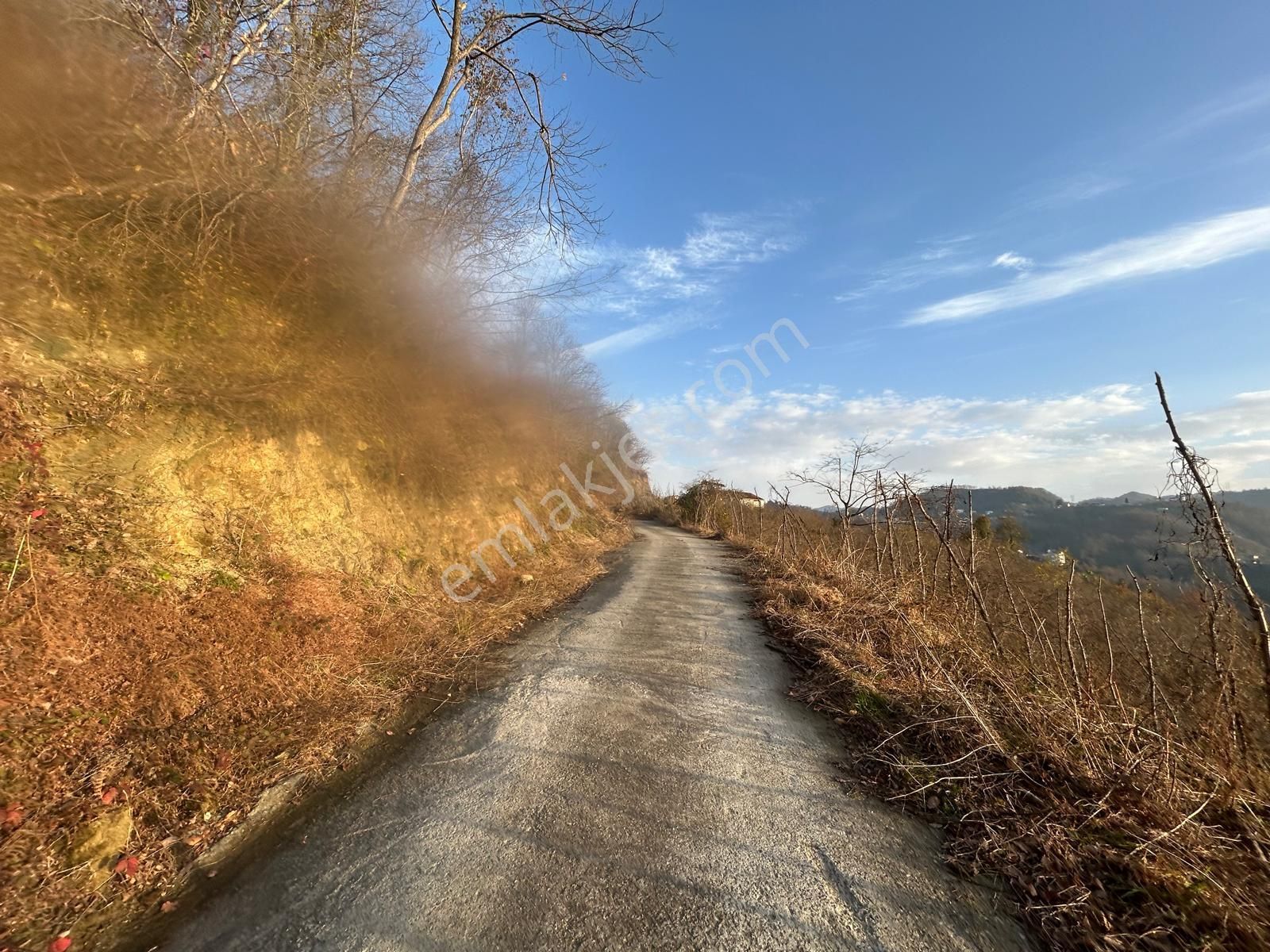 Premar White Gayrimenkul Sürmene Y.çavuşlu Mah. Satılık Arazi - Görsel 3