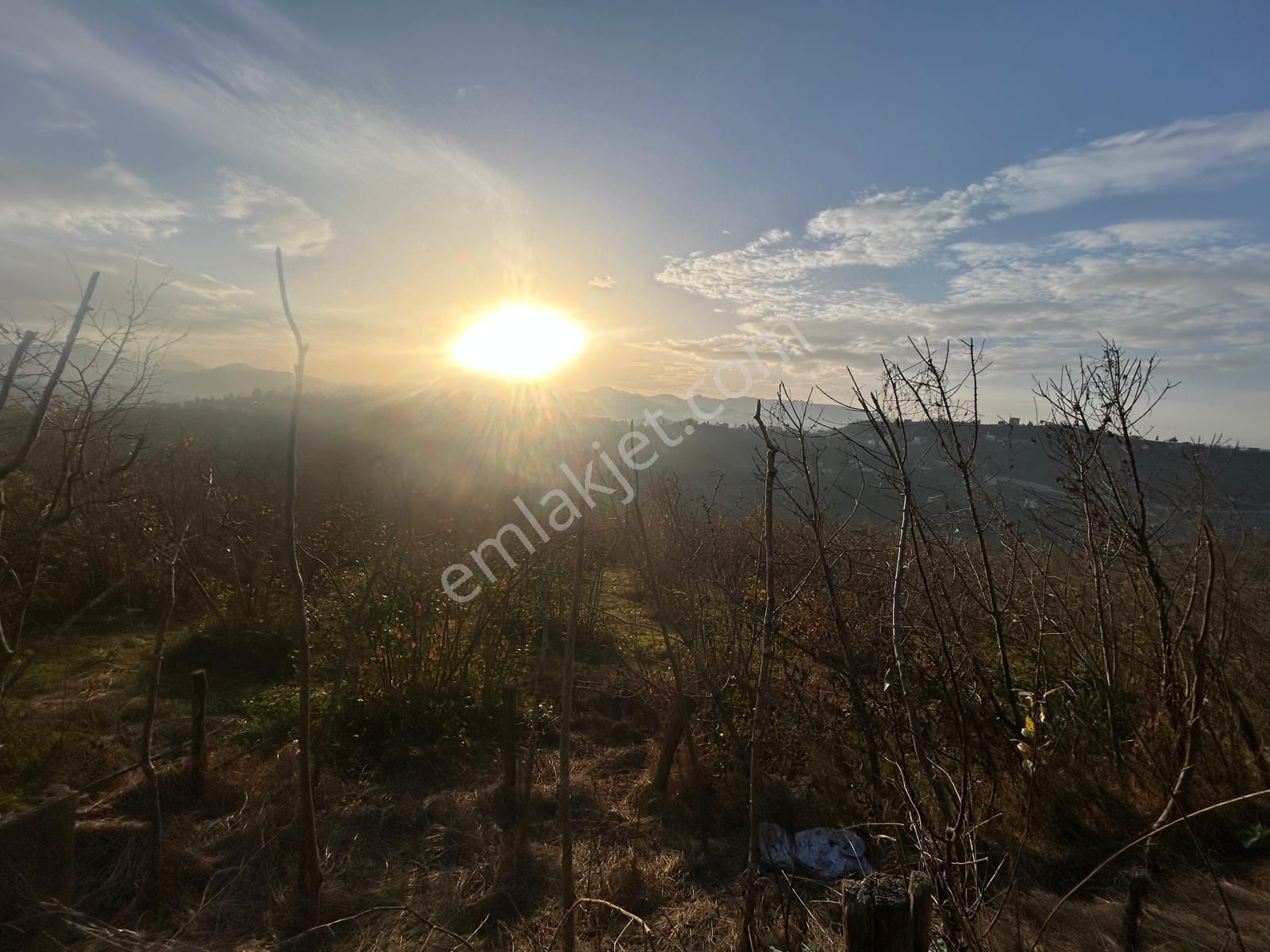 Premar White Gayrimenkul Sürmene Y.çavuşlu Mah. Satılık Arazi - Görsel 21