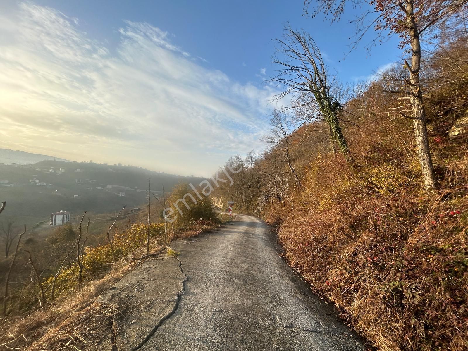 Premar White Gayrimenkul Sürmene Y.çavuşlu Mah. Satılık Arazi - Görsel 4