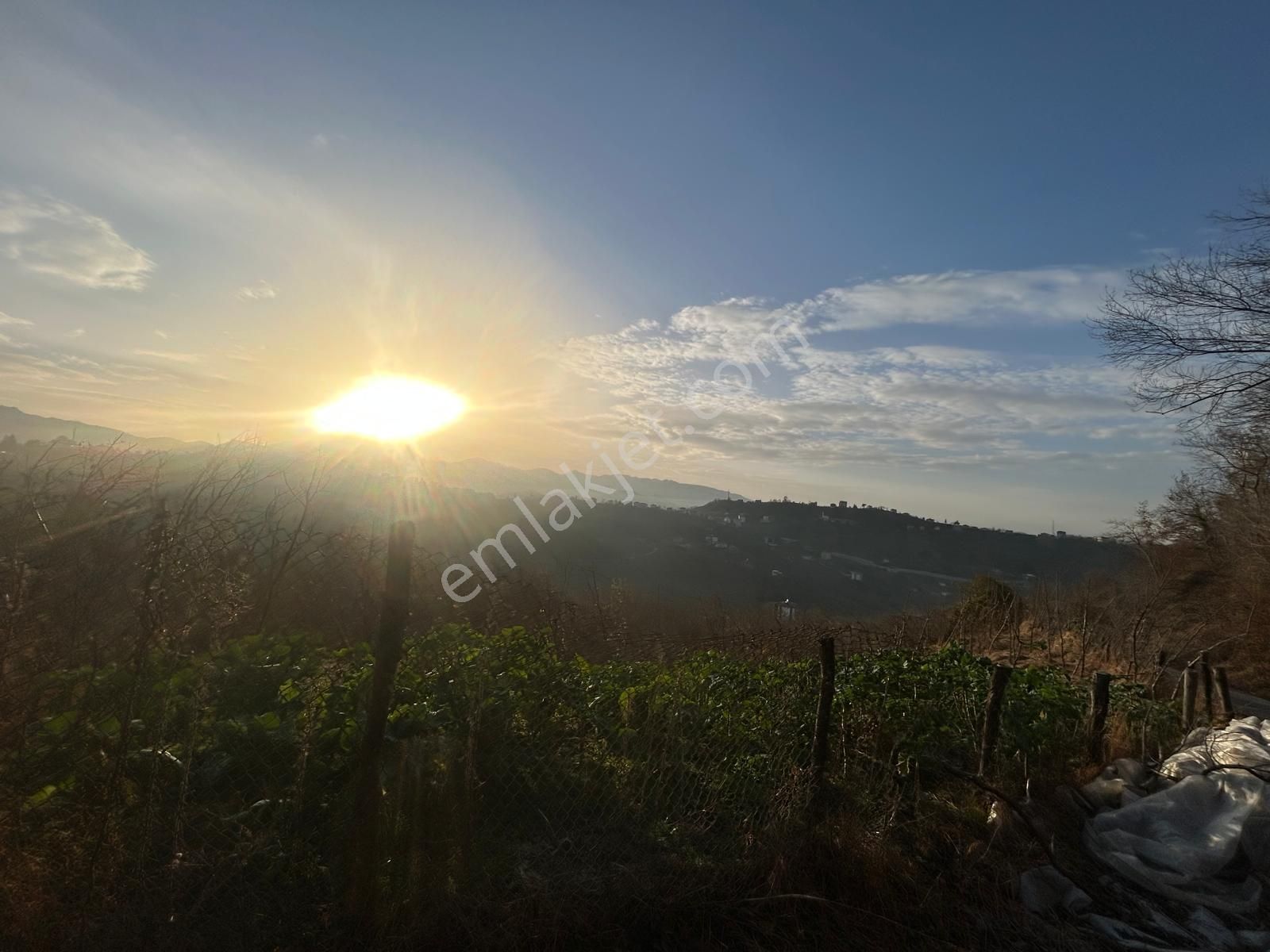 Premar White Gayrimenkul Sürmene Y.çavuşlu Mah. Satılık Arazi - Görsel 17