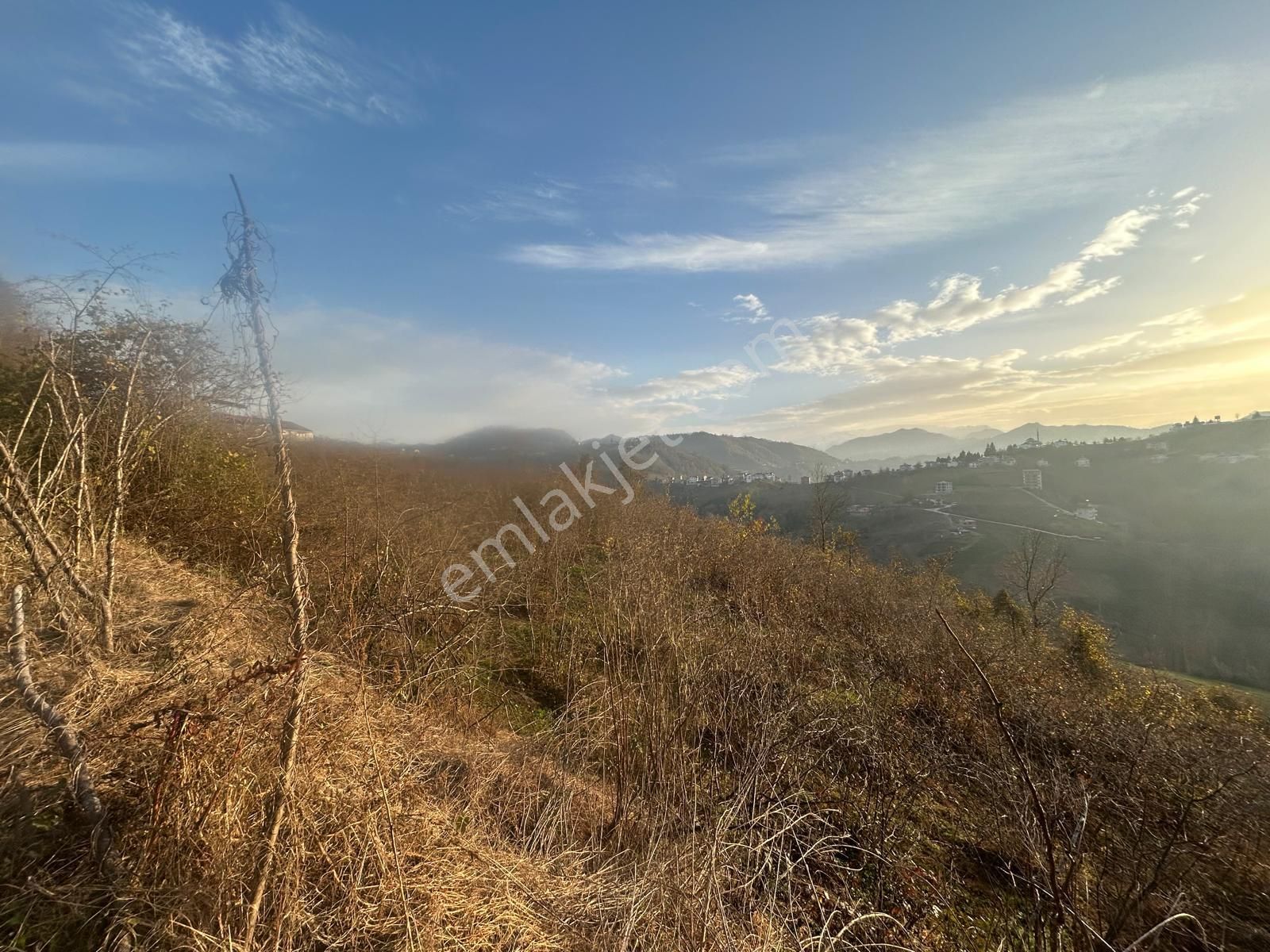 Premar White Gayrimenkul Sürmene Y.çavuşlu Mah. Satılık Arazi - Görsel 7