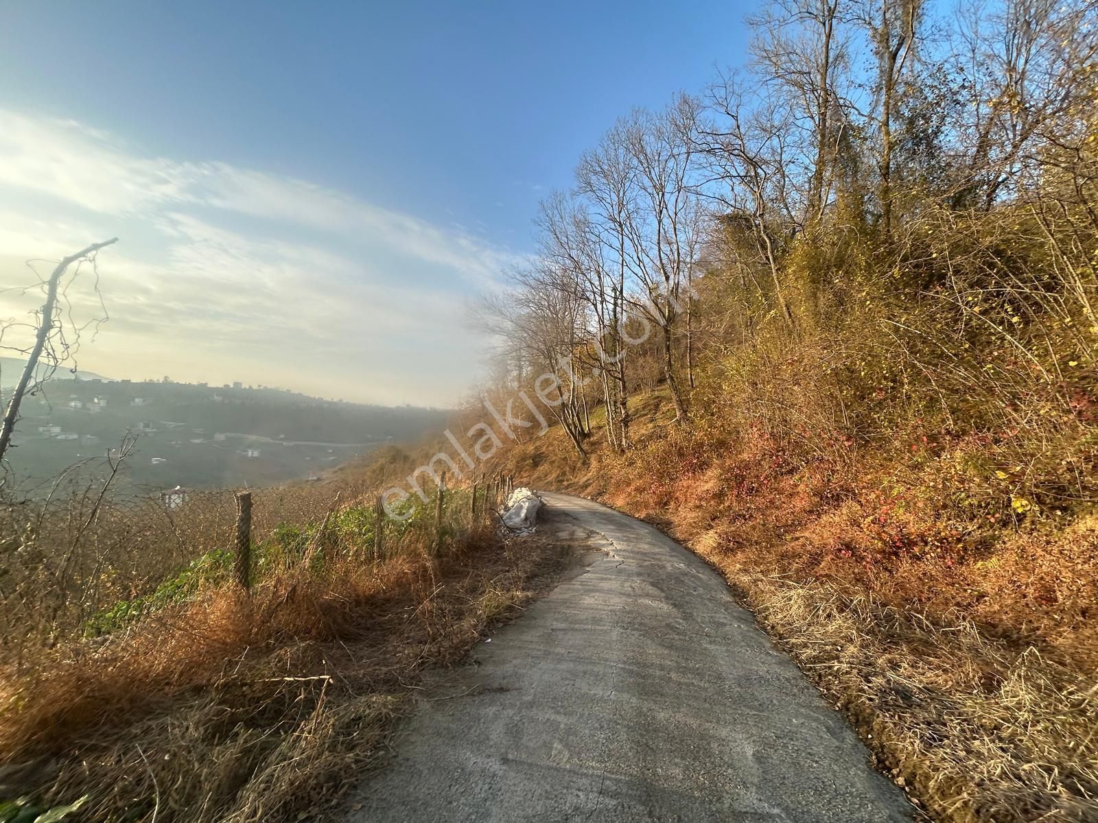 Premar White Gayrimenkul Sürmene Y.çavuşlu Mah. Satılık Arazi - Görsel 18