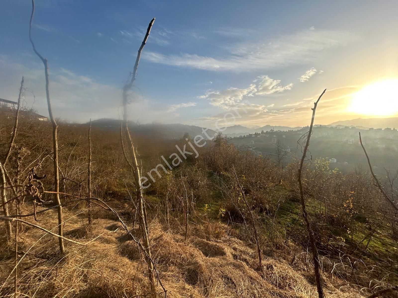 Premar White Gayrimenkul Sürmene Y.çavuşlu Mah. Satılık Arazi - Görsel 12