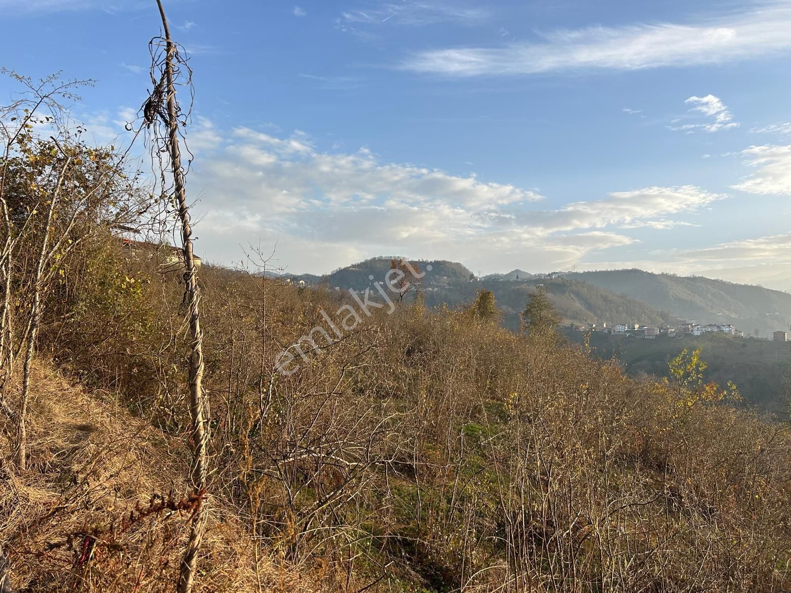 Premar White Gayrimenkul Sürmene Y.çavuşlu Mah. Satılık Arazi - Görsel 8