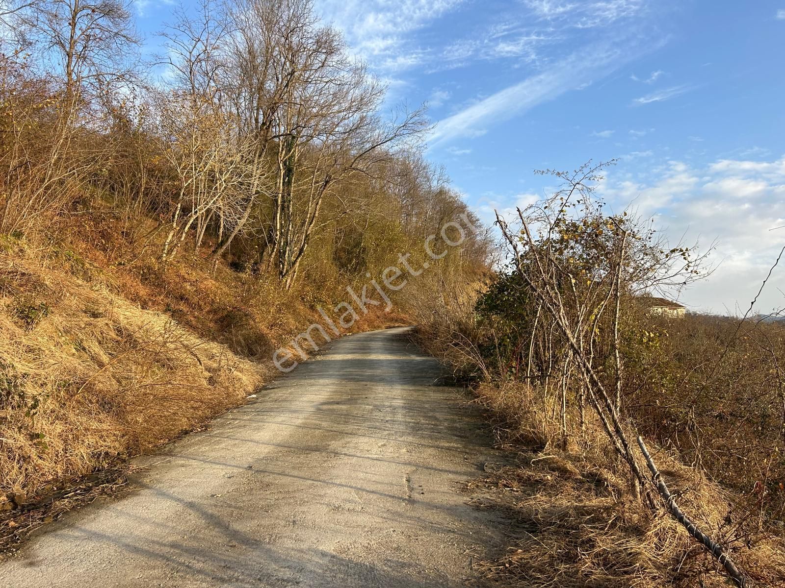Premar White Gayrimenkul Sürmene Y.çavuşlu Mah. Satılık Arazi - Görsel 9