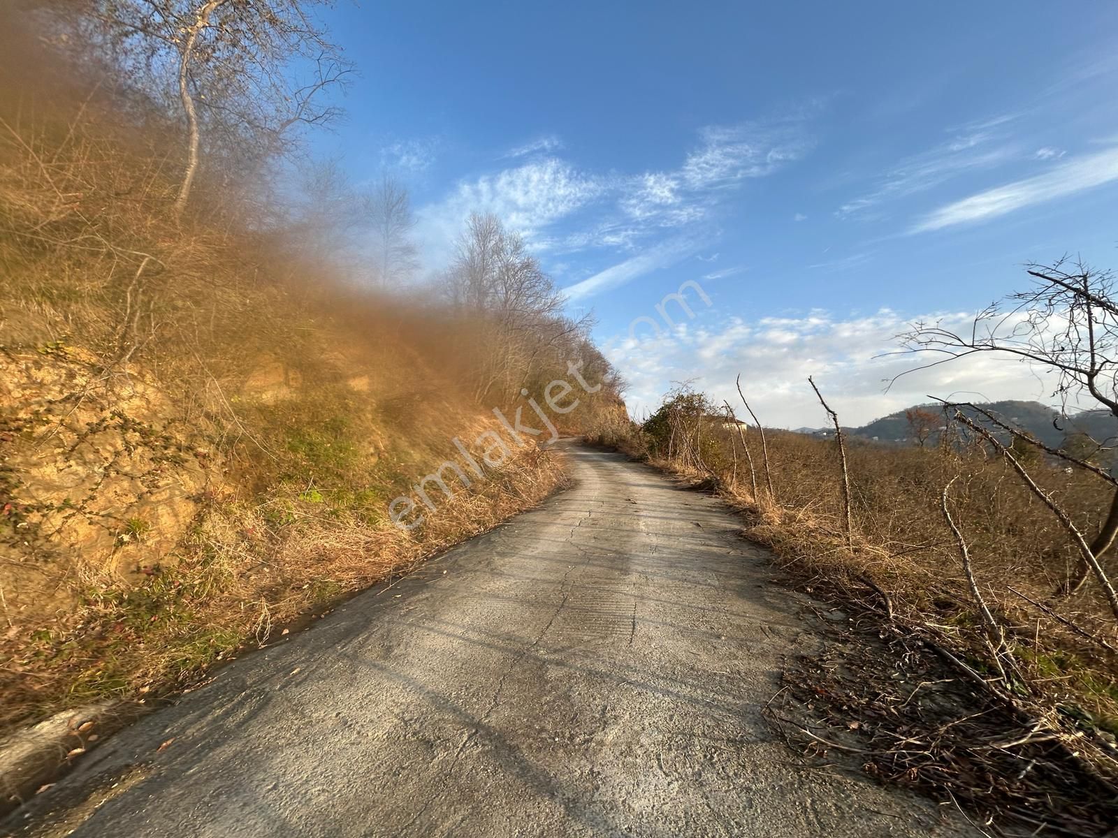 Premar White Gayrimenkul Sürmene Y.çavuşlu Mah. Satılık Arazi