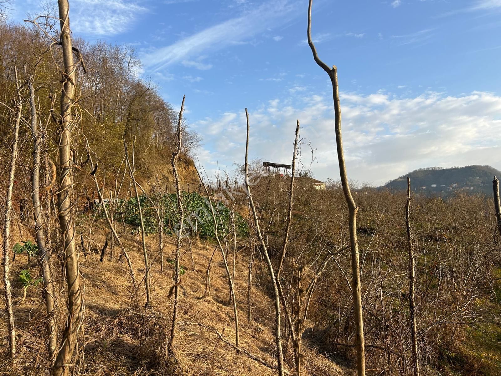 Premar White Gayrimenkul Sürmene Y.çavuşlu Mah. Satılık Arazi - Görsel 10