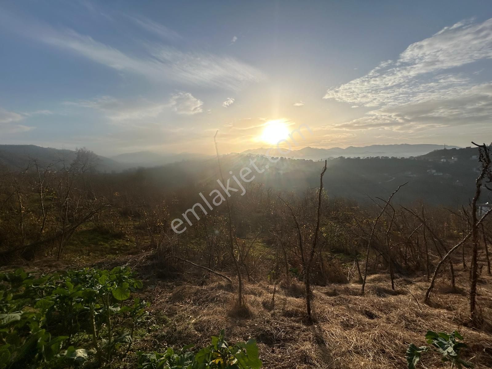 Premar White Gayrimenkul Sürmene Y.çavuşlu Mah. Satılık Arazi - Görsel 6