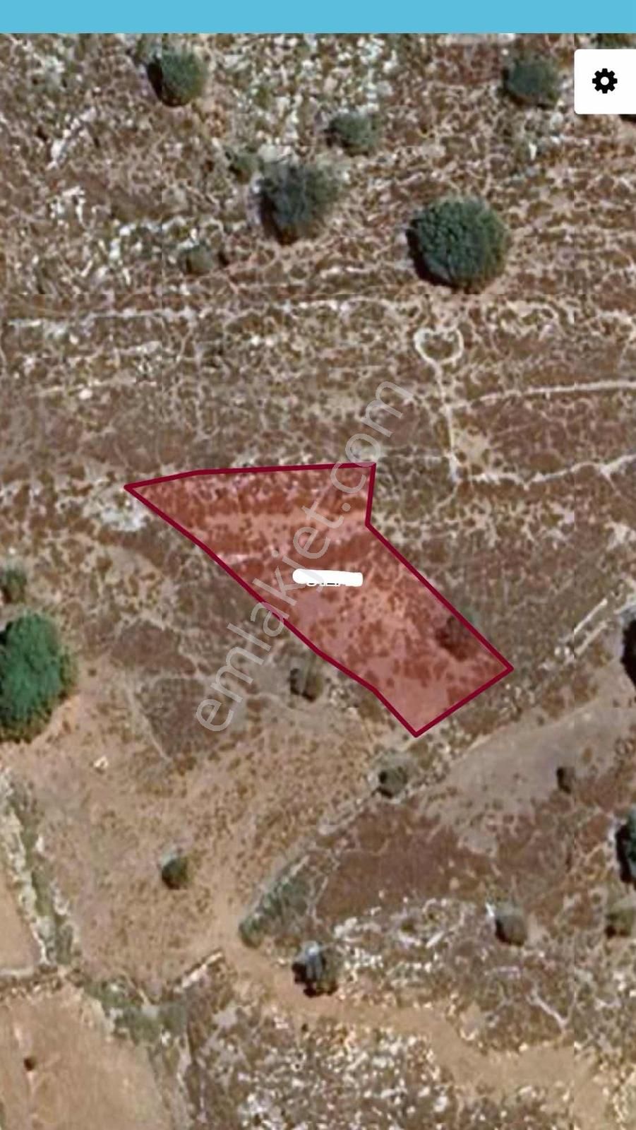 Atadan Bozburun Çatak Mevkinde 958 M2 Düz Tarla - Görsel 5