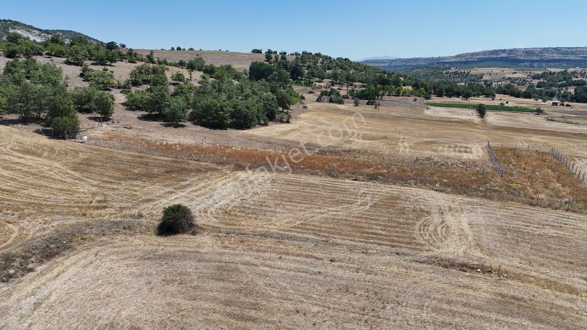 Konya / Meram / Kilistra Mahallesinde 458 M² Müstakil Tapulu Tarla