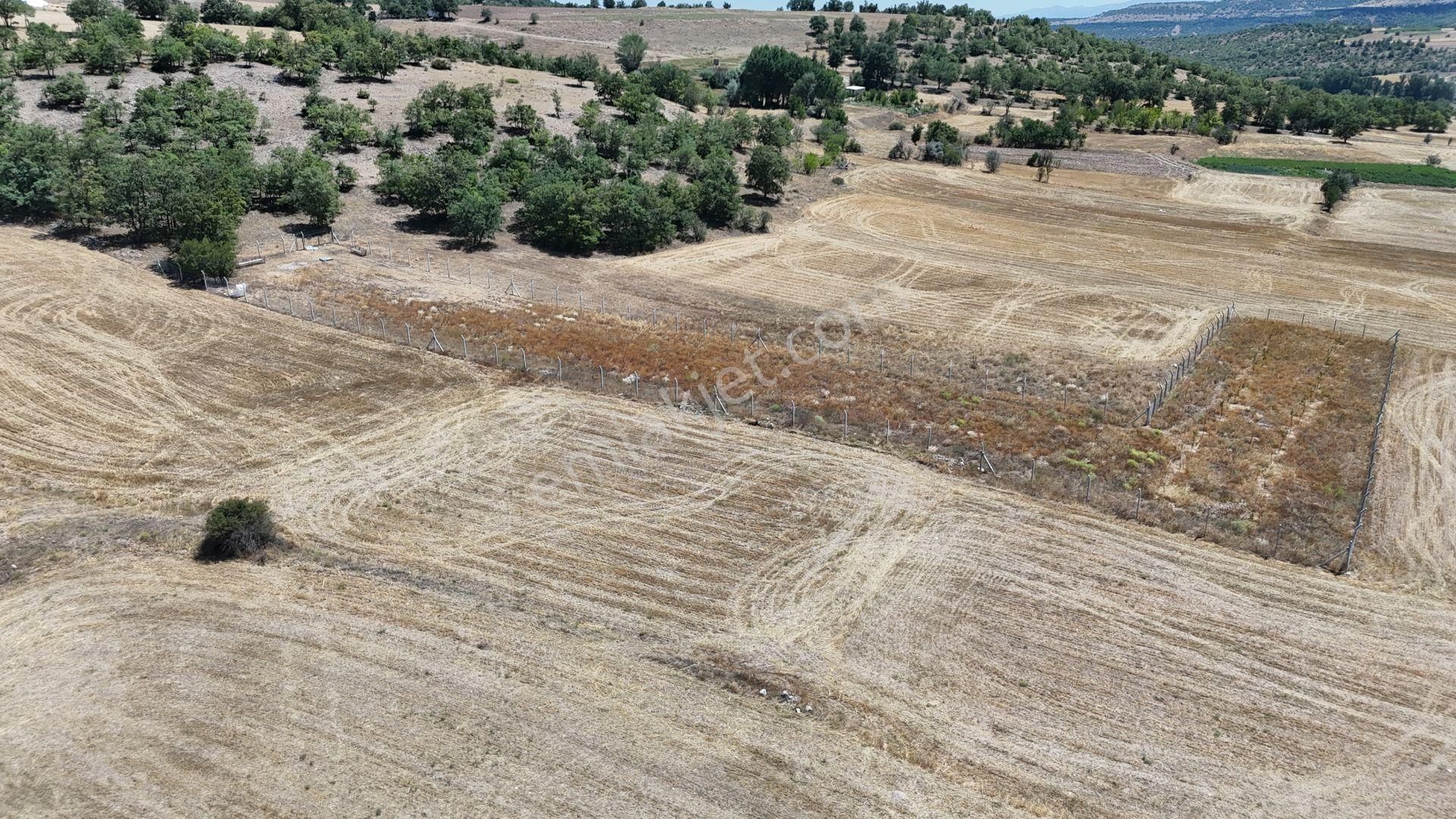 Konya / Meram / Kilistra Mahallesinde 458 M² Müstakil Tapulu Tarla - Görsel 2