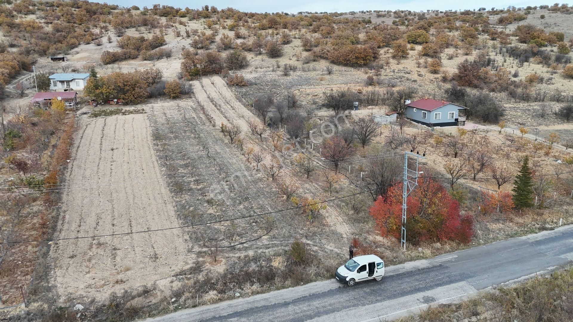 Konya / Meram / Çomaklar Mahallesinde 785 M² Müstakil Tapulu Tarla - Görsel 9