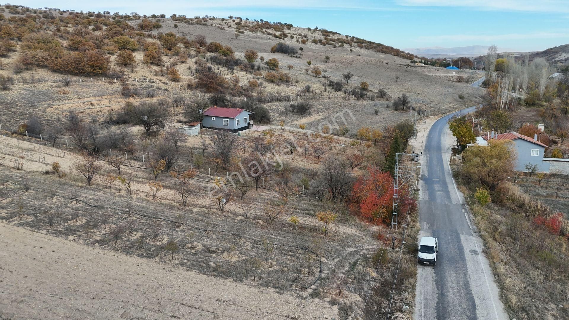 Konya / Meram / Çomaklar Mahallesinde 785 M² Müstakil Tapulu Tarla - Görsel 6