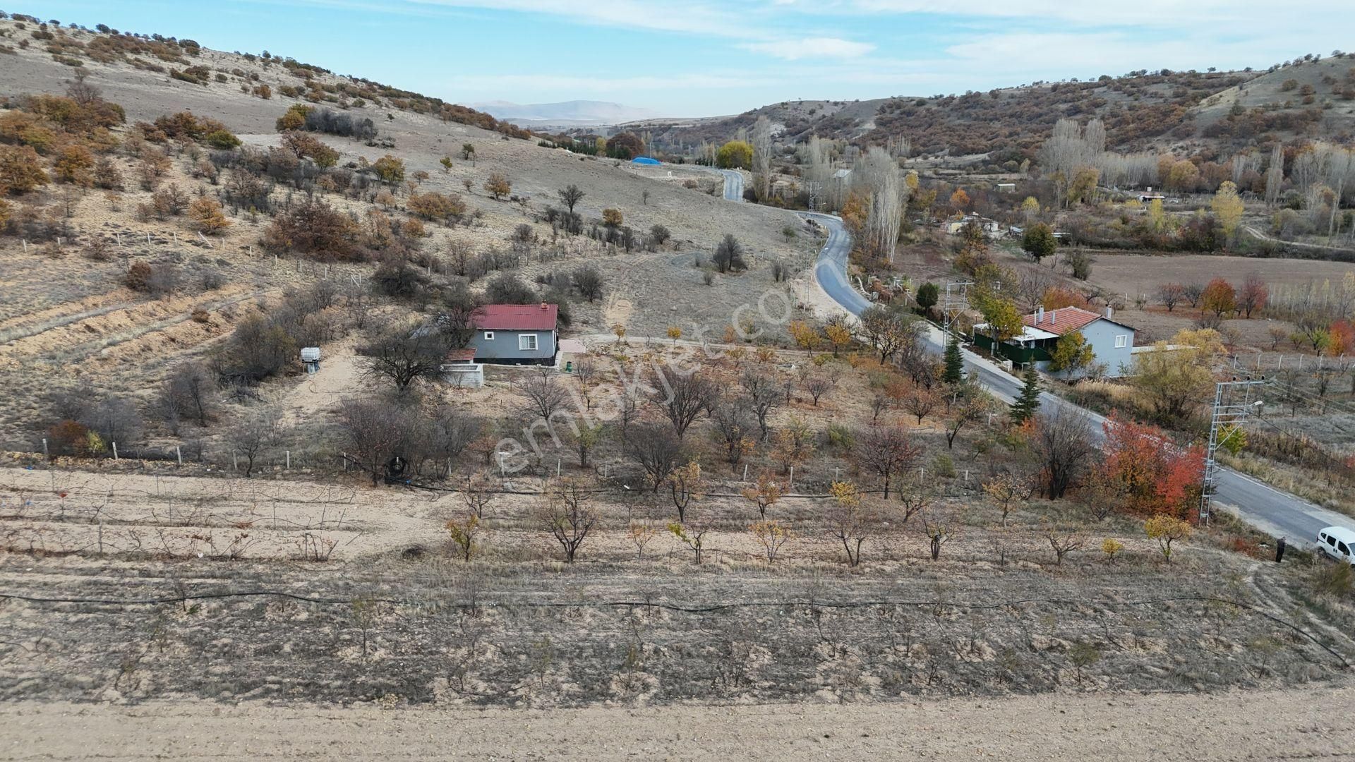 Konya / Meram / Çomaklar Mahallesinde 785 M² Müstakil Tapulu Tarla - Görsel 5