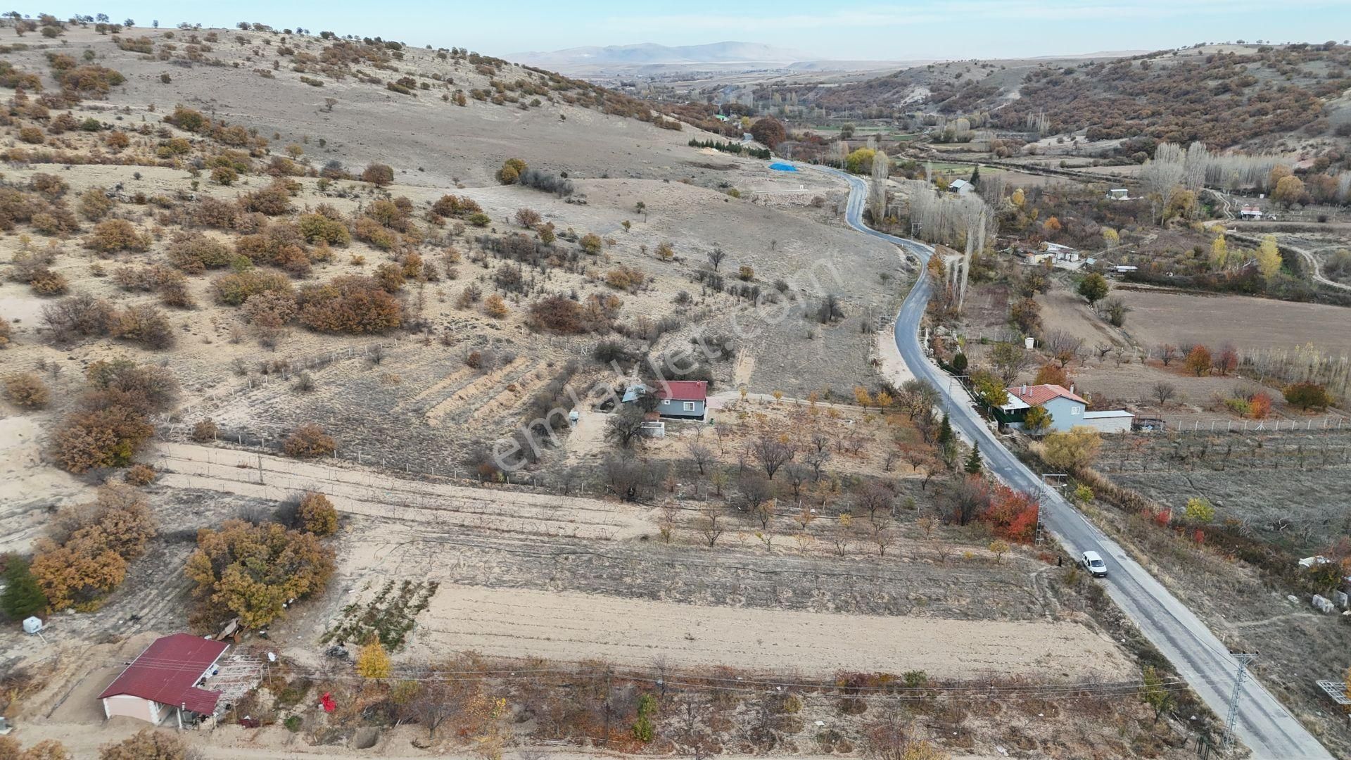 Konya / Meram / Çomaklar Mahallesinde 785 M² Müstakil Tapulu Tarla - Görsel 7