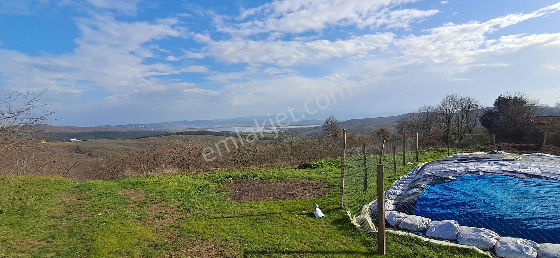 Re/max Mavi Fatih Çelebi'den Bakırlı'da Akgöl Manzaralı Fındıklık - Görsel 5