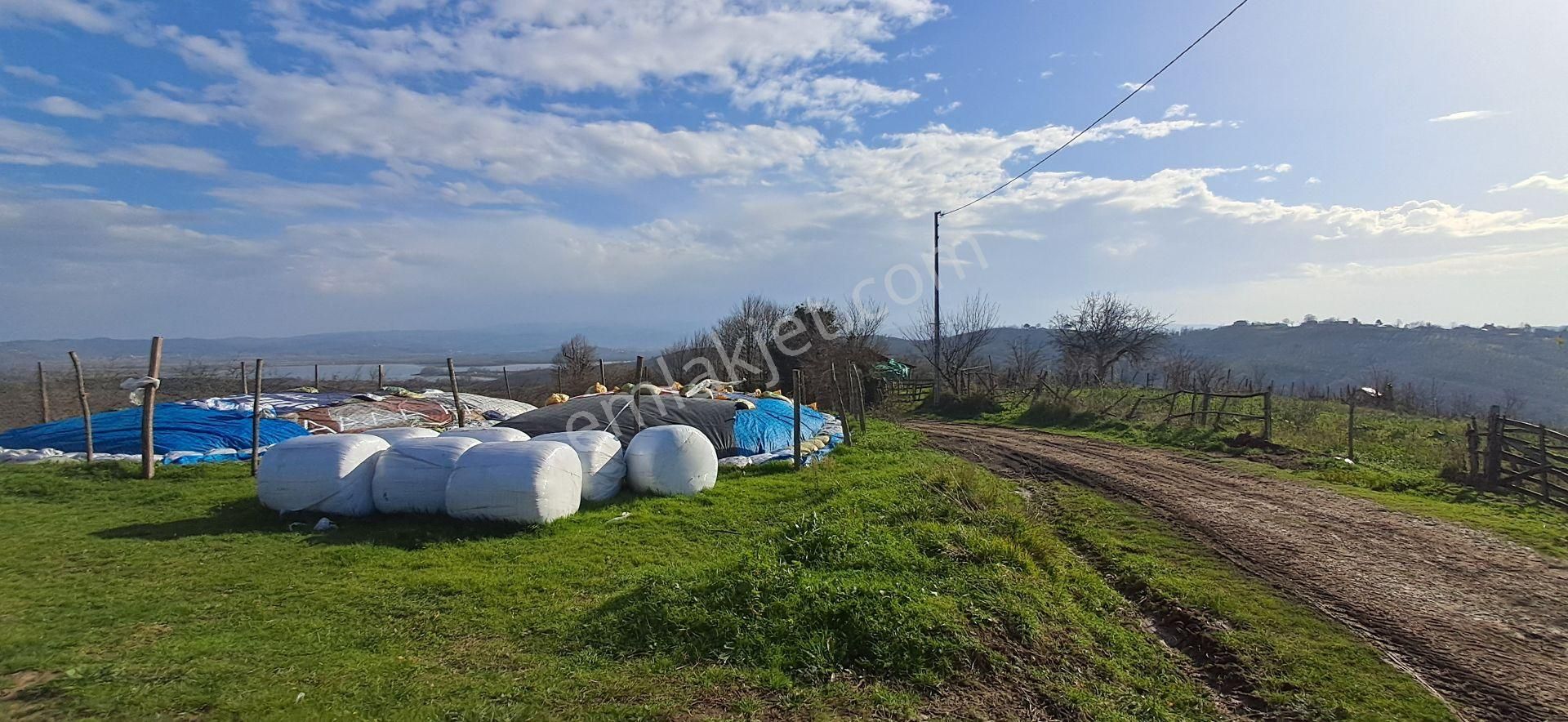 Re/max Mavi Fatih Çelebi'den Bakırlı'da Akgöl Manzaralı Fındıklık