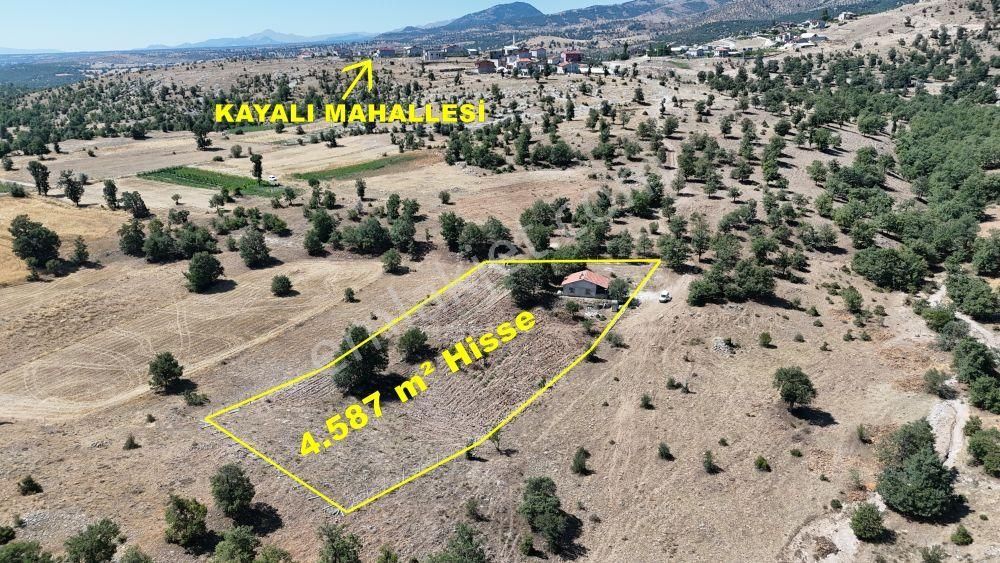 Konya / Meram / Kayalı Mahallesinde 4.587 M² Hisse Tapulu Tarla - Görsel 9