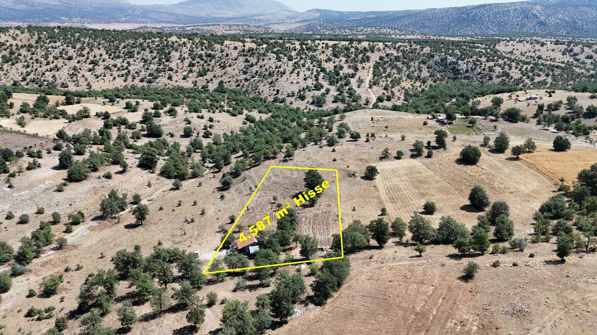 Konya / Meram / Kayalı Mahallesinde 4.587 M² Hisse Tapulu Tarla - Görsel 5