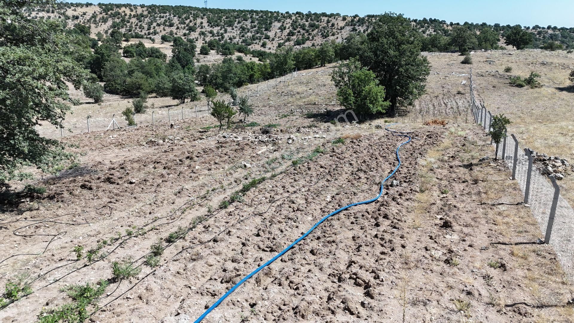 Konya / Meram / Kayalı Mahallesinde 4.587 M² Hisse Tapulu Tarla - Görsel 2