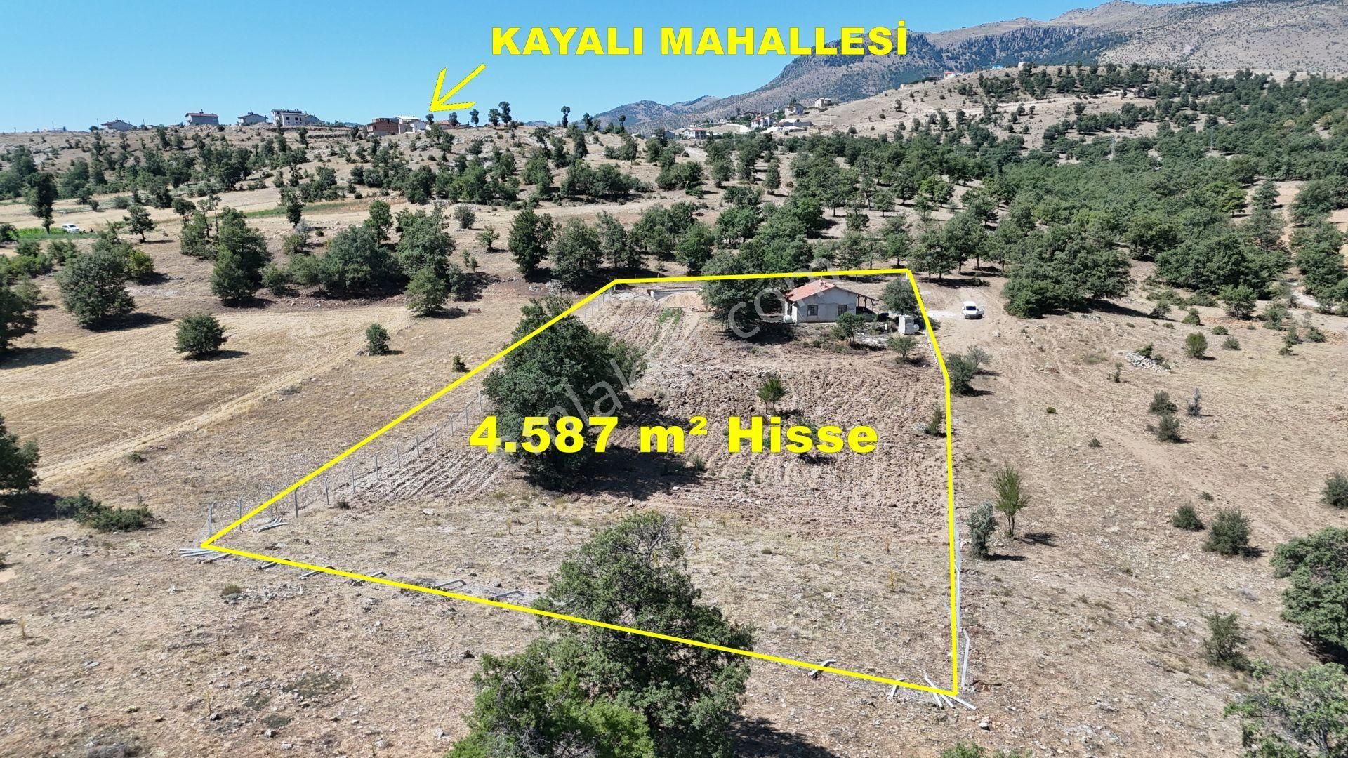 Konya / Meram / Kayalı Mahallesinde 4.587 M² Hisse Tapulu Tarla - Görsel 3