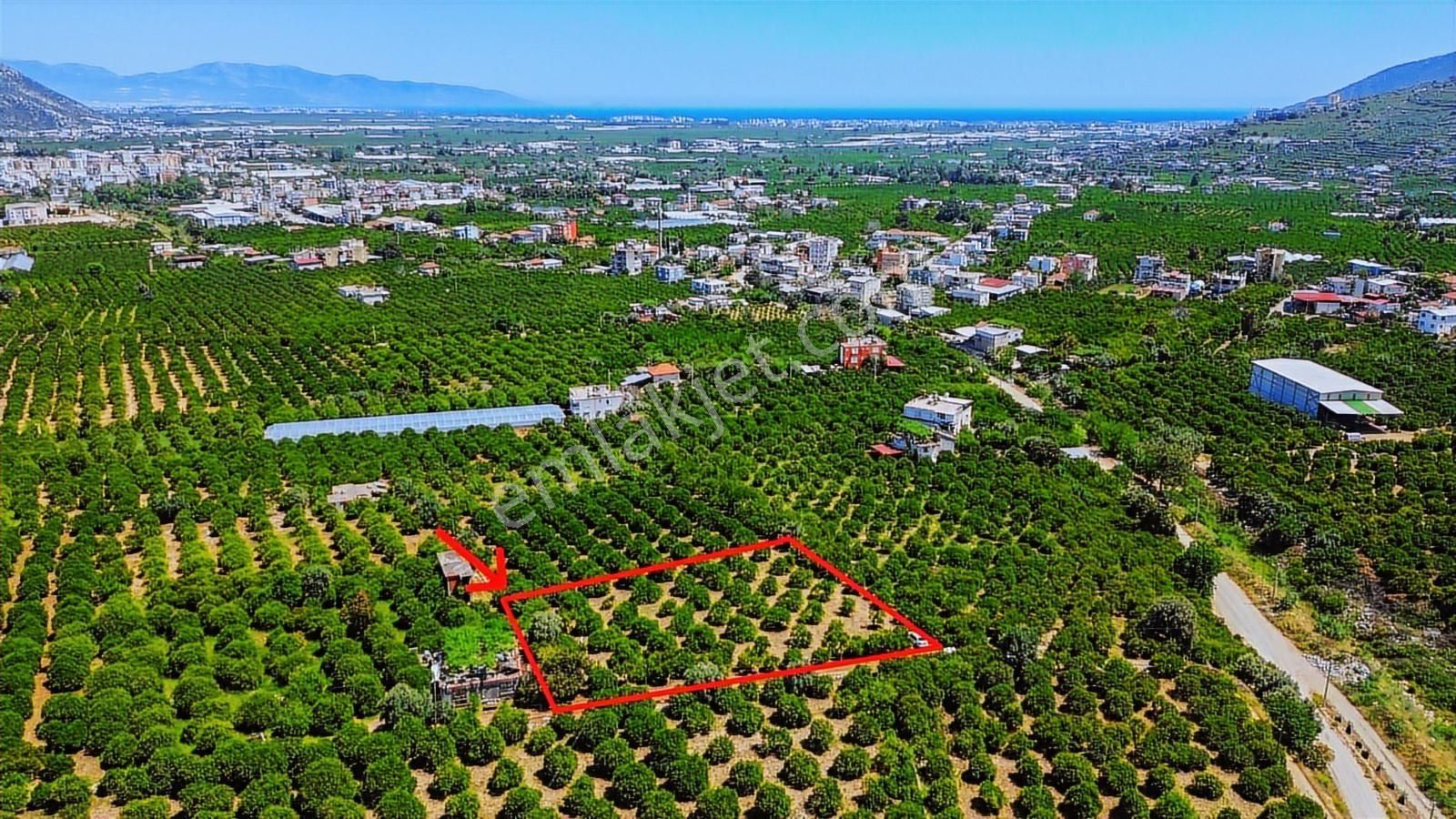 Ertuğrul'dan Rızai Taksimli 2.250 M2 Satılık Bahçe - Görsel 5