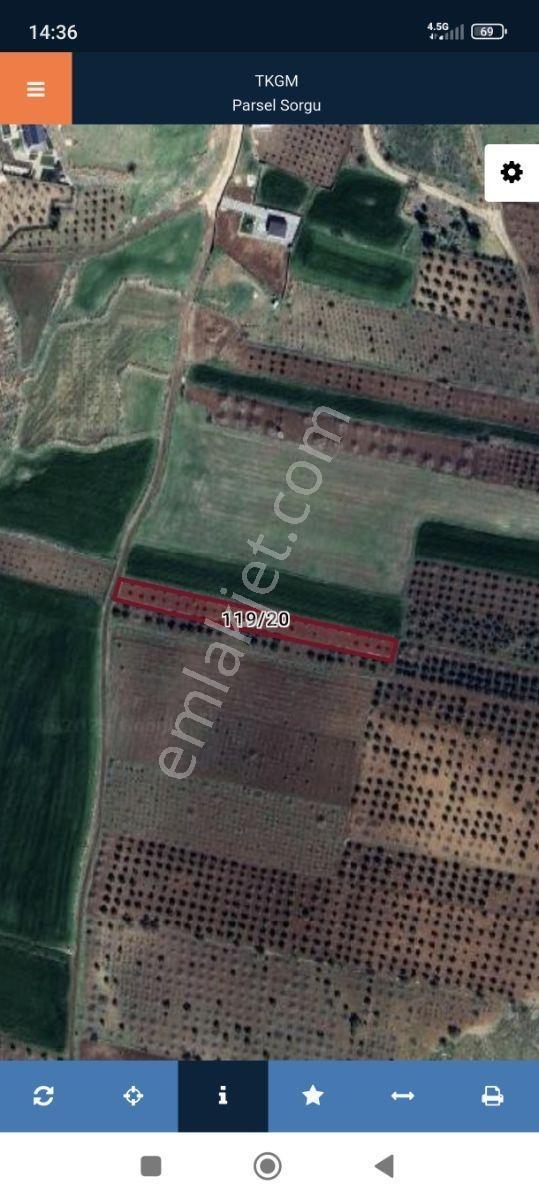 Ymz'den Burçkarakuyu Da Güney Şehir E Çok Yakın Arazi - Görsel 2