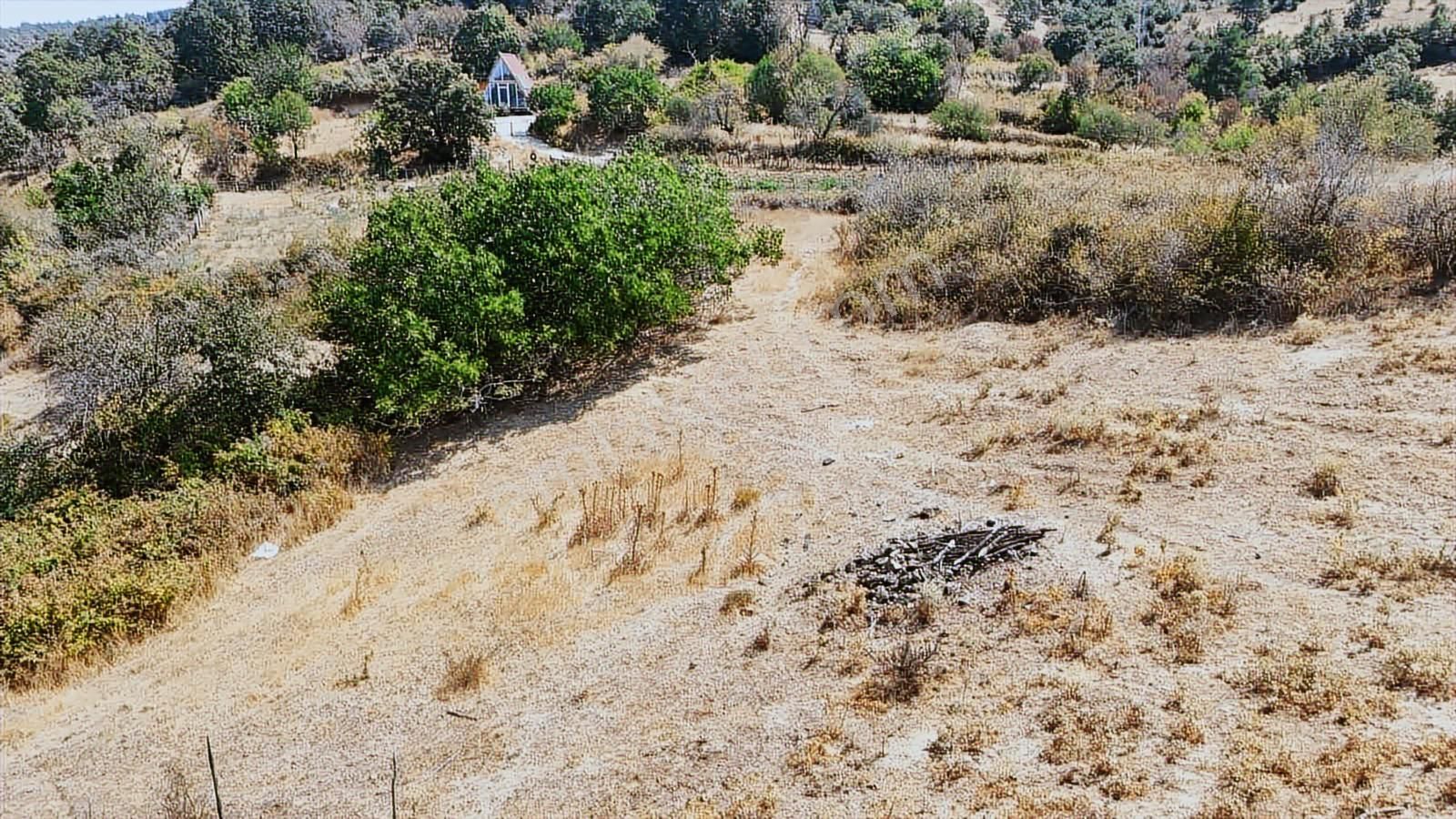 Bayramiç Kaykılar Da Köy İçinde 5840 M2 Arsa - Görsel 2