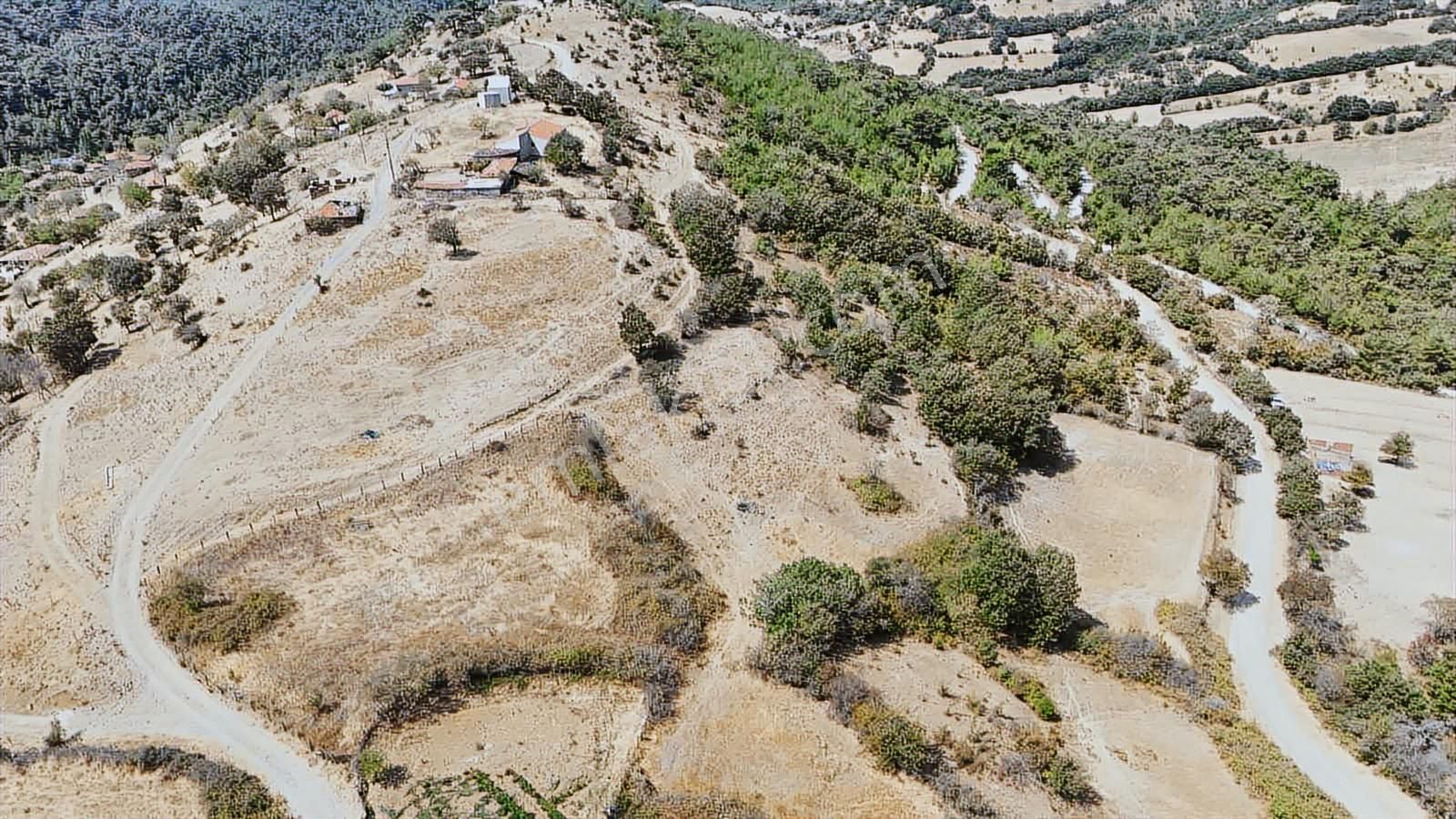 Bayramiç Kaykılar Da Köy İçinde 5840 M2 Arsa - Görsel 11