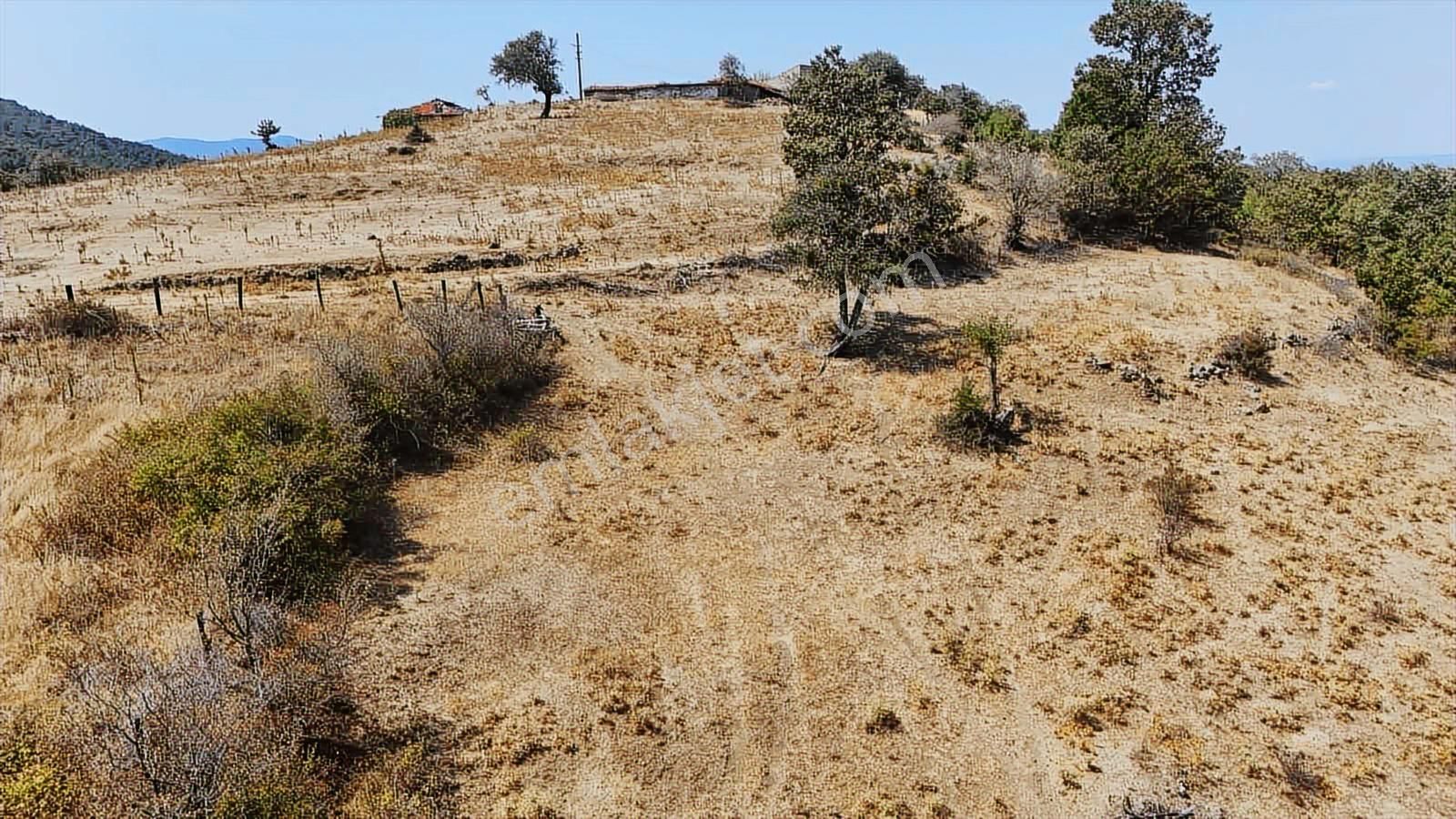 Bayramiç Kaykılar Da Köy İçinde 5840 M2 Arsa - Görsel 15